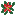 Poinsettia