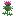 Thistle