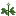 Umbrella Leaf