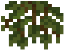 Chili Vines