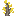 Ginkgo Sapling