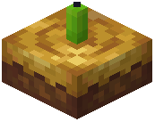 Lime Poop Candle Cake