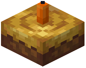 Orange Poop Candle Cake