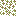 Azolla