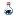 Bottled Dermestid Beetle