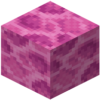 Coated Brain Coral Block