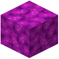 Coated Bubble Coral Block