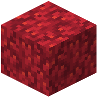 Coated Fire Coral Block