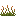 Ephedra