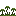 Marchantia