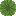 Nelumbo