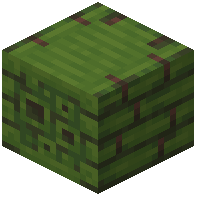 Neocalamites Beehive