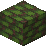 Neocalamites Vertical Planks