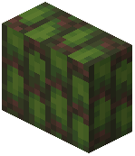 Neocalamites Vertical Slab