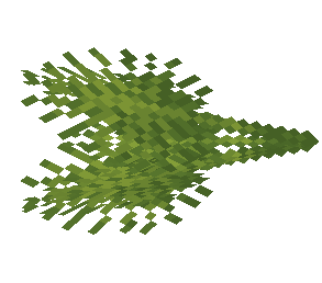 Sabalites Leaves