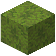 Plant Material