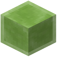 Lime Petrified Honey