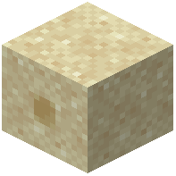 Sand Nest