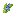 Blue Jade Corn
