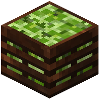 Brussels Sprout Crate