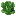 Butterhead Lettuce