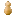 Butternut Squash