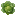 Cabbage
