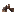 Cardamon