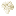 Cauliflower