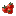 Cherry Tomato