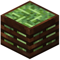 Green Bean Crate