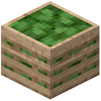 Green Bell Pepper Crate