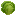 Iceberg Lettuce