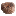 Konjac