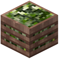 Leek Crate