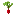 Radish