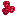 Raspberry