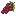 Red Grape