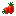 Roma Tomato
