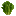 Romain Lettuce