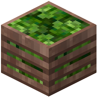Romain Lettuce Crate