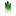 Spring Onion