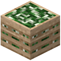 Spring Onion Crate