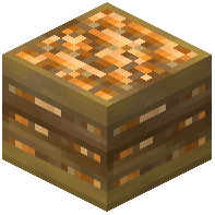 Crate of Apricots