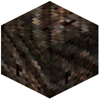 Asai Palm Planks
