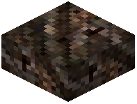 Asai Palm Slab