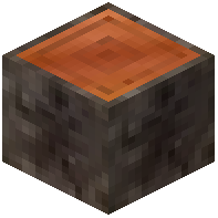 Brazil Nut Log