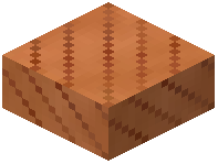 Brazil Nut Slab