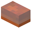 Brown Amber Button