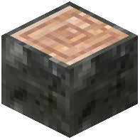 Butternut Log